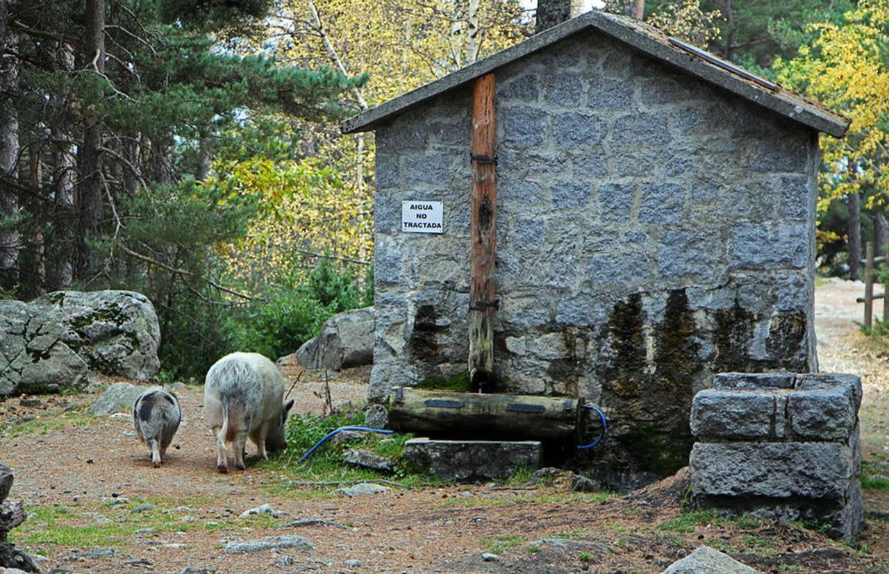 Hotel Camp Del Serrat Les Escaldes Exterior photo